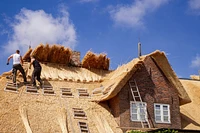Craven Arms Public House Thatched Roof Protection 